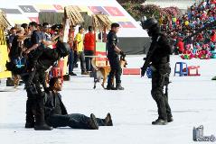 IMG_0585 copy