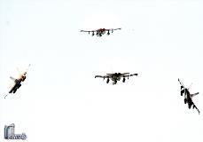 IMG_0952 copy