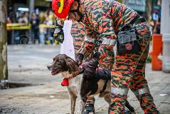 IMG_2861